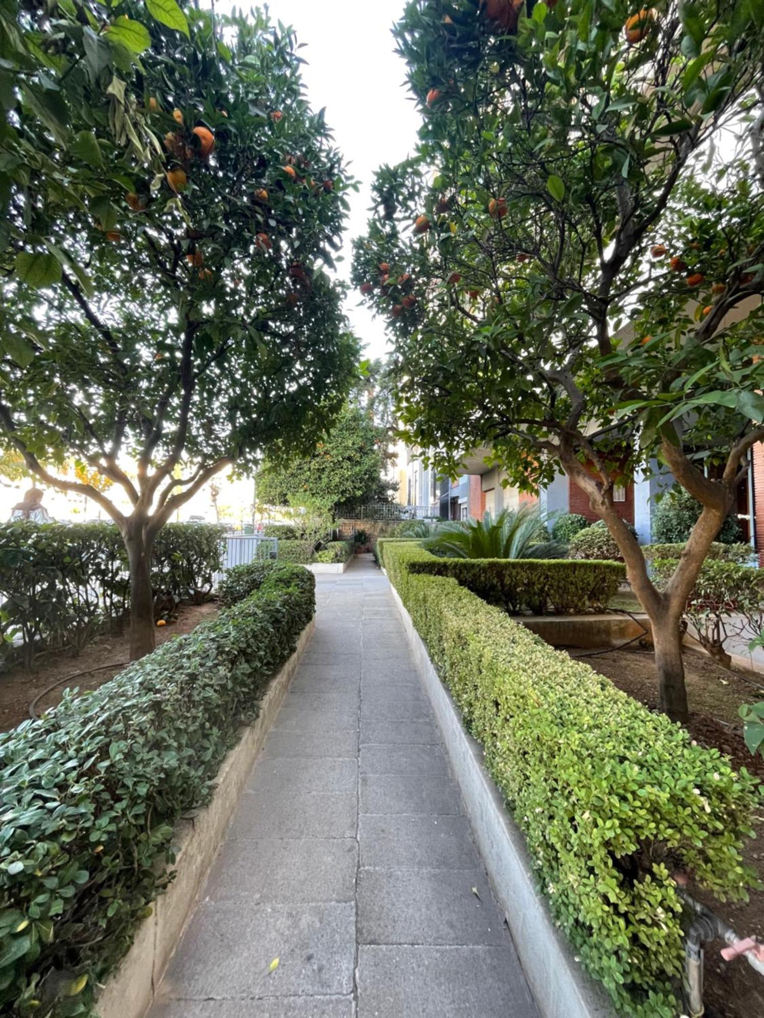 Cozy Apartment Ideally Located City Center And Megaron Moussikis Metro Station Atina Dış mekan fotoğraf